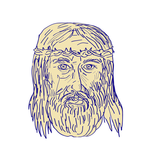 Jesus Face Crown of Thorns Drawing - Vector, Image