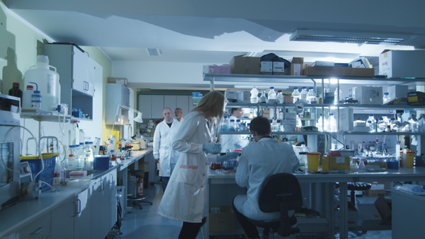 Εργάζονται σε ένα σύγχρονο εργαστήριο ομάδα Καυκάσιος επιστημόνων σε λευκό παλτό. - Πλάνα, βίντεο