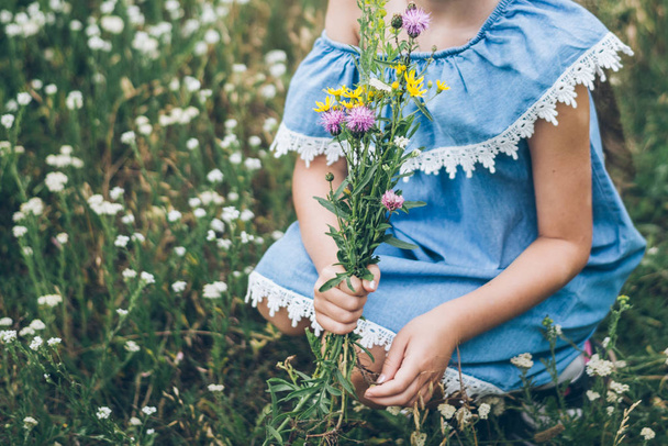 jeune fille smalling champs fleurs
 - Photo, image