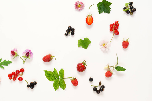 Composition of leaves and berries - Photo, image