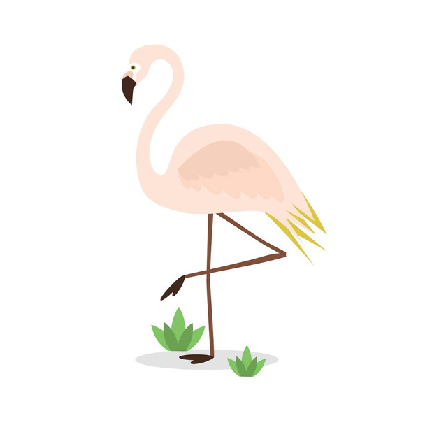 Beautiful abstract single pink flamingo standing on one leg with some bushes on white background - Vector, Image