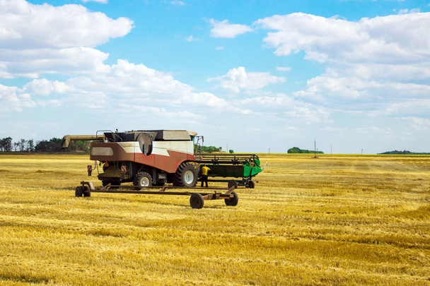 Kombain shromažďuje na úrody pšenice. Zemědělské stroje v terénu. Sklizeň obilí. - Fotografie, Obrázek