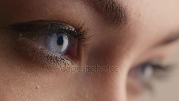 Close-up shot of woman blue eye with light day make-up. - Video