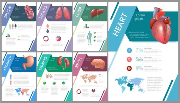 Internal human organs infographic spleen - Wektor, obraz
