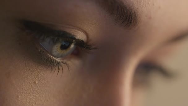 Close-up shot of woman eye with light day make-up. - Filmati, video