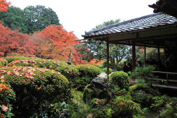 őszi szezon Shisen-do templomhoz - Fotó, kép