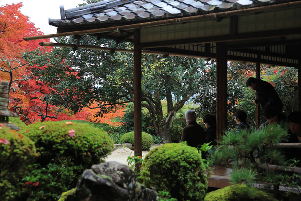 őszi szezon Shisen-do templomhoz - Fotó, kép