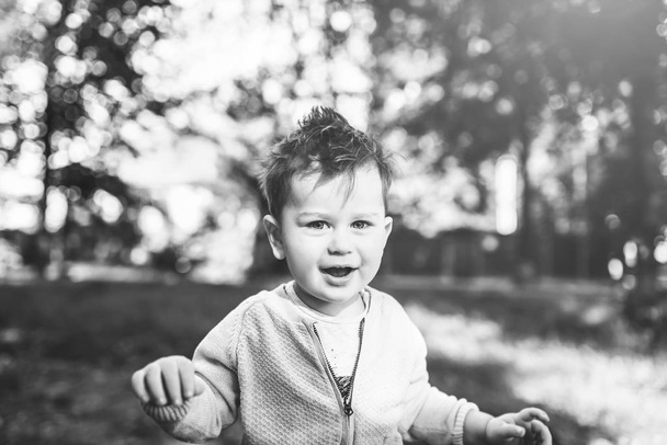 Pretty liitle boy playing outdoor in the park - Fotoğraf, Görsel