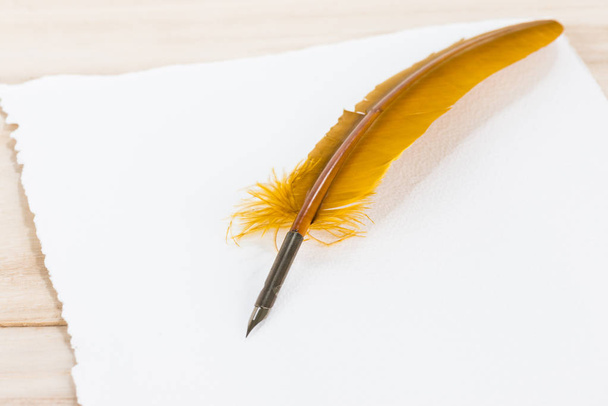 Στυλό πένα σε χαρτί βαμβάκι - Φωτογραφία, εικόνα