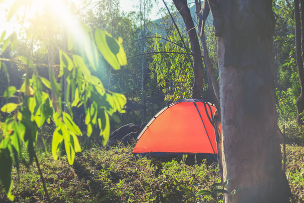Telttailemassa metsässä. Aamukohtaus turisti teltta vihreässä metsässä lähellä järveä. Ulkona Lifestyle.selektiivinen painopiste
. - Valokuva, kuva