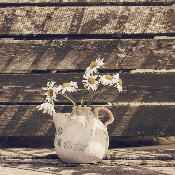 schöne Pflanzen in einer Vase auf einem hölzernen Hintergrund - Foto, Bild