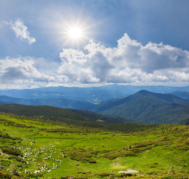 beautiful green mountain valley under a sparkle sun - Photo, Image