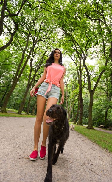 Young woman with her dog walking. - Foto, Imagen