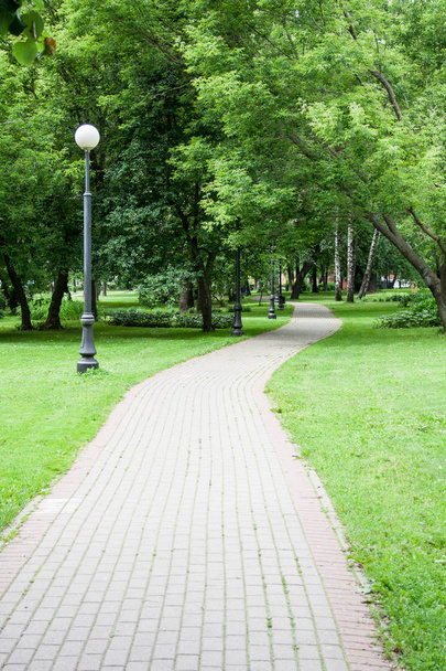 Footpath through park. background, nature. - Foto, Bild