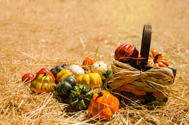 Sonbaharda hasat sebzeler arka plan ile sepet  - Fotoğraf, Görsel