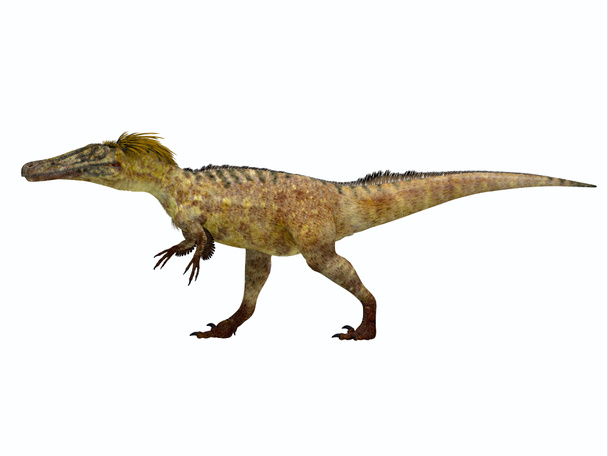 Perfil lateral del dinosaurio Austroraptor
 - Foto, imagen