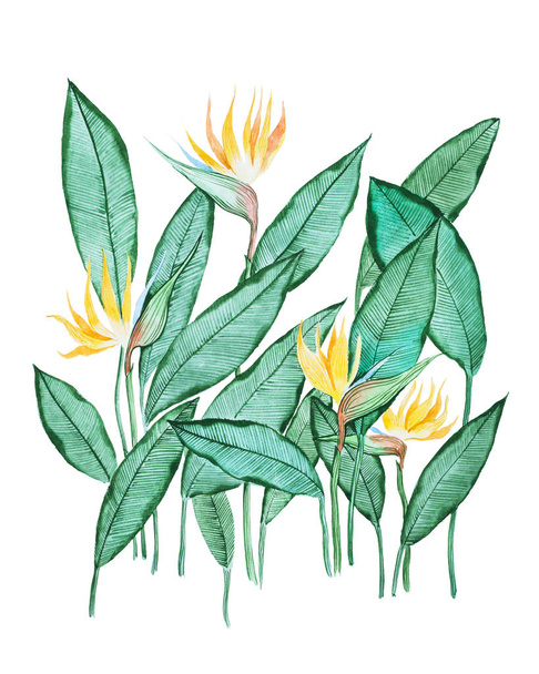 Peinture aquarelle dessinée à la main de feuilles vertes avec de petites fleurs jaunes sur fond blanc
 - Photo, image