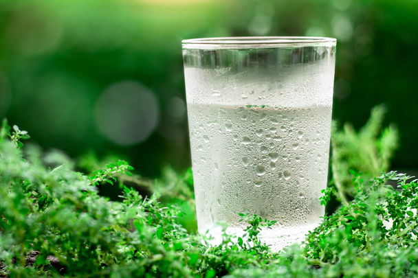自然の緑の背景に冷たい新鮮な水のガラス - 写真・画像