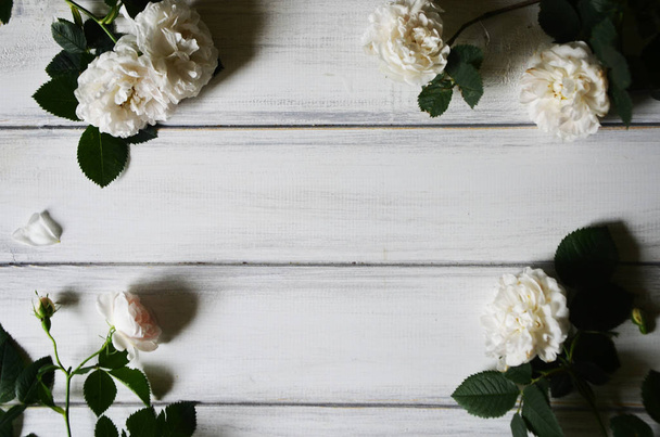 Heldere tuin rode rozen op witte houten achtergrond. Frisse zomer florale achtergrond met kopie ruimte. - Foto, afbeelding