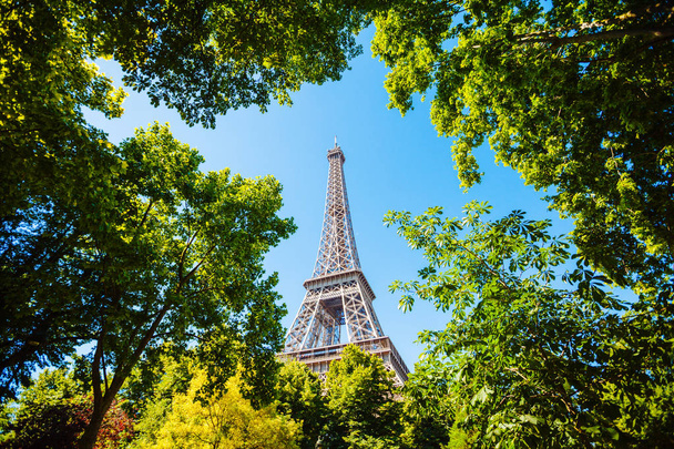 木 々の間からパリ、フランスのエッフェル塔 - 写真・画像