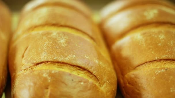 Hoja de pan en primer plano. Productos de panadería en línea de fabricación. Pan blanco
 - Imágenes, Vídeo