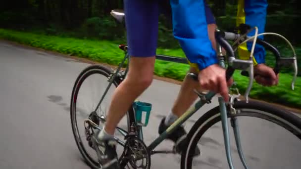 Mężczyzna w średnim wieku jest jazda na rowerze drogowym drogi leśnej - Materiał filmowy, wideo