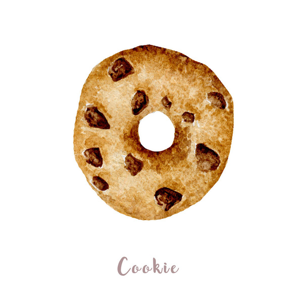 水彩の手描き下ろしチョコレート ヒップ クッキー。白い背景の上の隔離された図 - 写真・画像