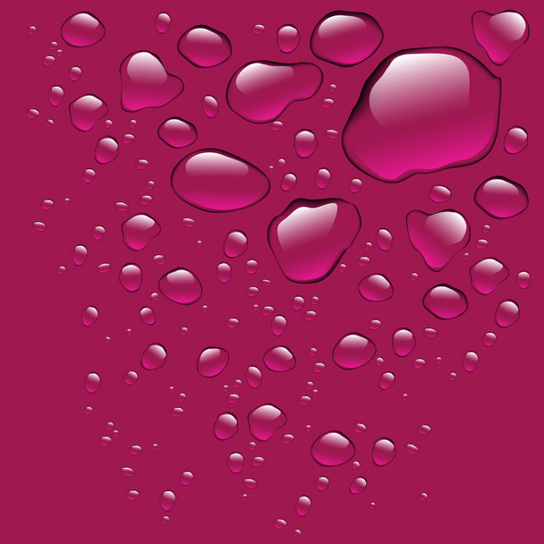 Realistic water drops isolated - Vector, Image