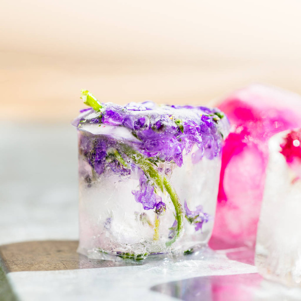 Frozen Flowers in Ice Cubes - Photo, image