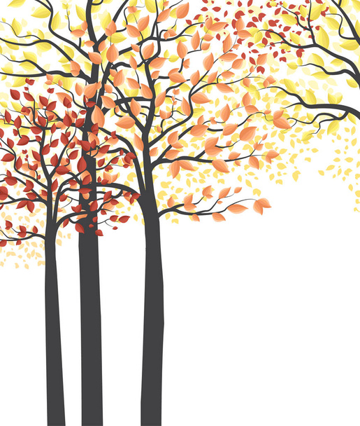 Herfst veelkleurige bos - Vector, afbeelding