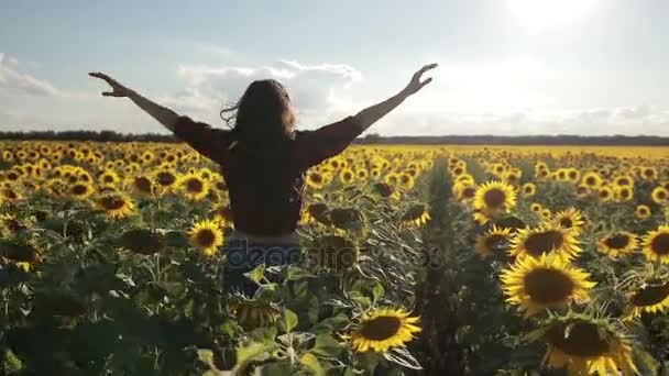 Ayçiçeği alanında çalışan kaygısız mutlu kadın - Video, Çekim