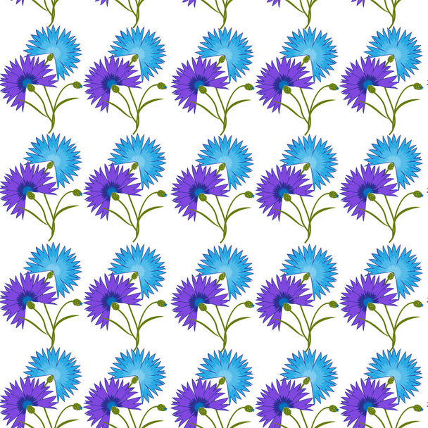 Kék virág Búzavirág elszigetelt fehér background. Rajzfilm vektor centaurea cyanus illusztráció - Vektor, kép