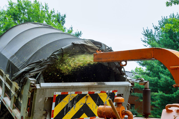Tarım makineleri, Ağaç parçalayıcı neşeli makine kaldırmak için - Fotoğraf, Görsel