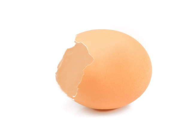 cáscara de huevo aislada sobre fondo blanco - Foto, Imagen
