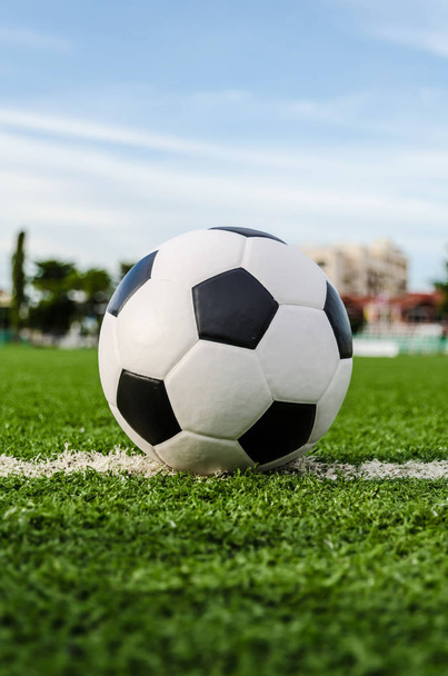 Soccer Football on the green grass of Soccer field. - Фото, зображення