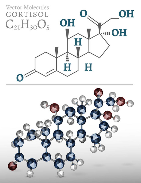 Kortizolu molekula obrázek - Vektor, obrázek