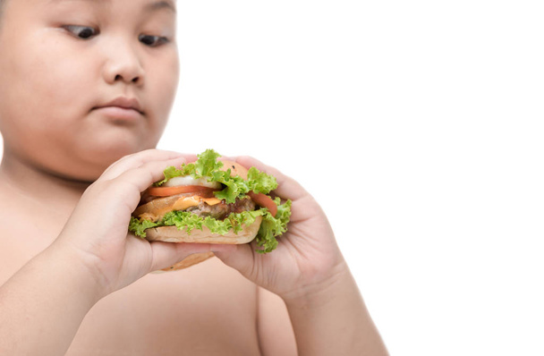 χοιρινό κρέας χάμπουργκερ σε παχύσαρκα λίπος αγόρι υπόβαθρο χέρι απομονωμένες - Φωτογραφία, εικόνα