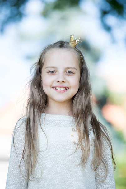 Portrait of a lovely little happy princess girl - Foto, Bild