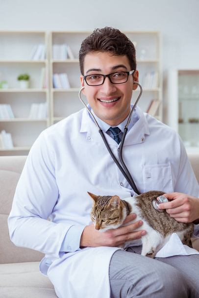 Cat επίσκεψη κτηνίατρο για τακτικές εξετάσεις - Φωτογραφία, εικόνα