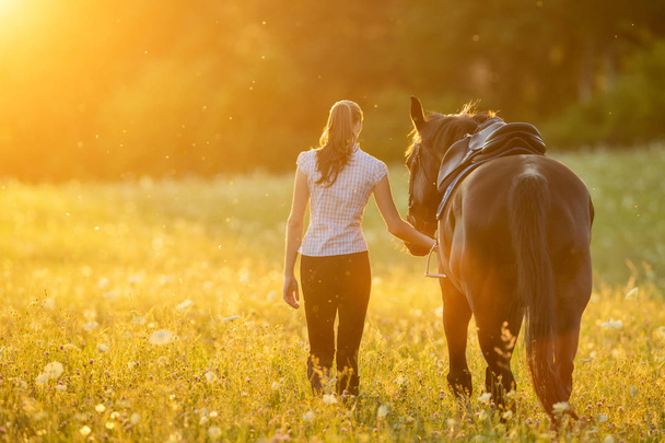 Backview of young woman walking with her horse in evening sunset - Valokuva, kuva