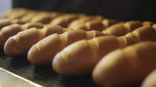 Produtos de padaria. Linha de produção de pão na fábrica de processamento de alimentos. Indústria alimentar
 - Filmagem, Vídeo