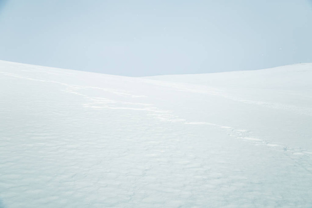 A beautiful, minimalist landscape of flat, snowy Norwegian field. Clean, light, high key, decorative look. - Foto, Bild