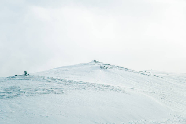 Ένα όμορφο, μινιμαλιστικό τοπίο της επίπεδη, χιονισμένο πεδίο Νορβηγικά. Καθαρό, ελαφρύ, υψηλό κλειδί, διακοσμητικό βλέμμα. - Φωτογραφία, εικόνα