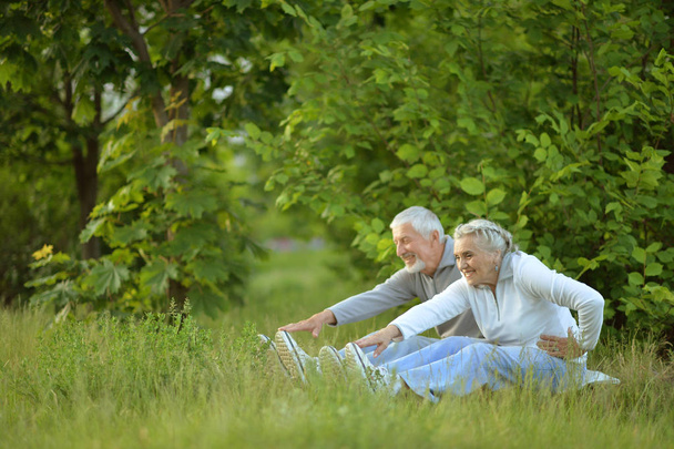 senior couple doing exercises - Photo, image