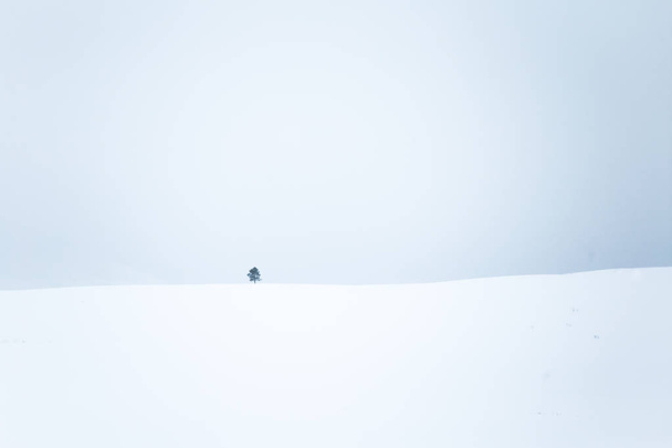 Un hermoso paisaje minimalista de campo noruego plano y nevado. Limpio, ligero, llave alta, aspecto decorativo
. - Foto, imagen