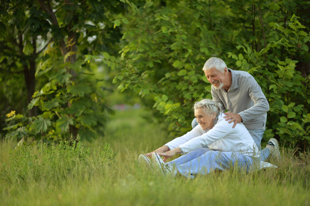 senior couple doing exercises - Foto, imagen