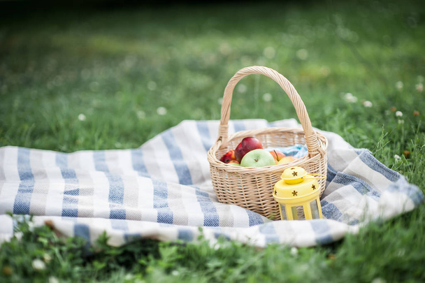 Basket with apples on the grass. Picnic. Summer. Fruits. Nature. - Photo, Image