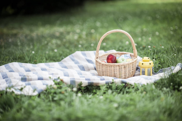 Kosz z jabłkami na trawie. Piknik. Letnich. Owoców. Natura. - Zdjęcie, obraz