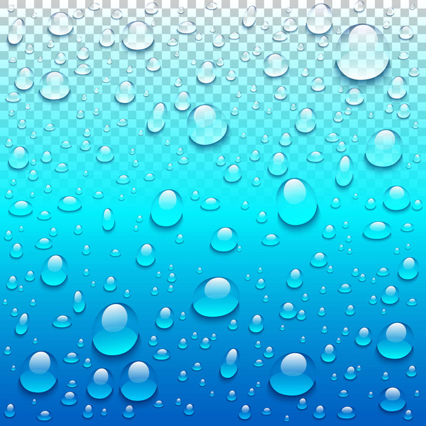 Realistico vettore gocce d'acqua trasparente sfondo blu. Illustrazione della condensazione a goccia pulita
 - Vettoriali, immagini