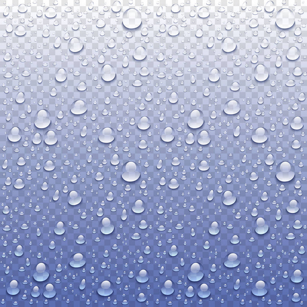 Wektorowa zdjęcie realistyczne krople deszczu lub pary koryta szyby - Wektor, obraz